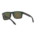 OAKLEY Sonnenbrille Holbrook Prizm