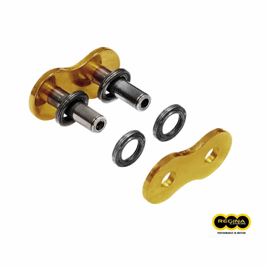 REGINA lanț special de blocare cu nituri 135ZRT