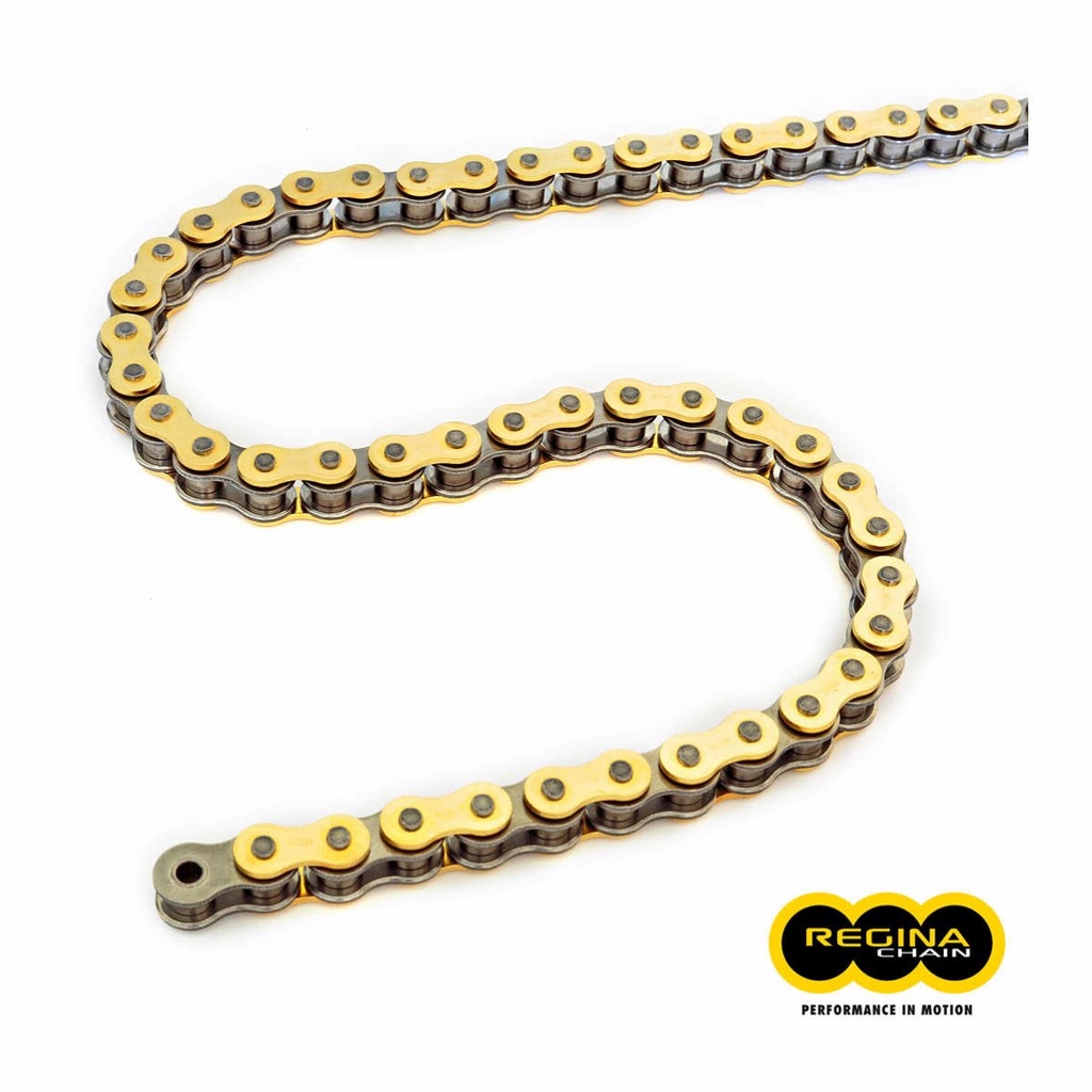 Lanț de curse de motocros REGINA 135RX3