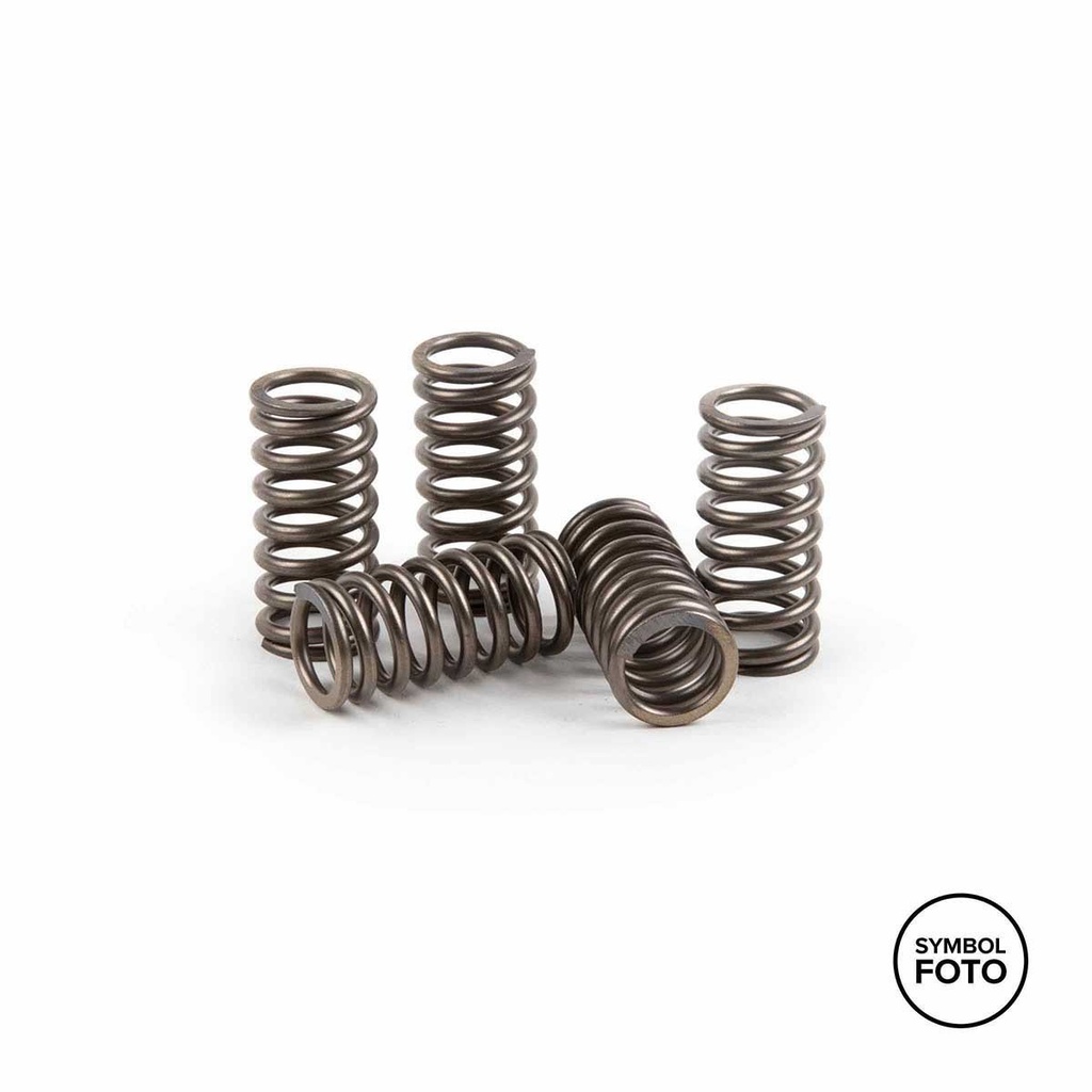 Set de arcuri de ambreiaj PREMIER KTM